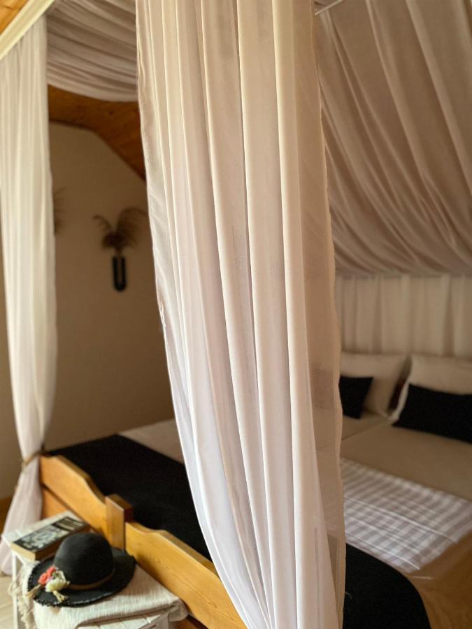 Villa Kuca Ribarev San à Beocin Extérieur photo